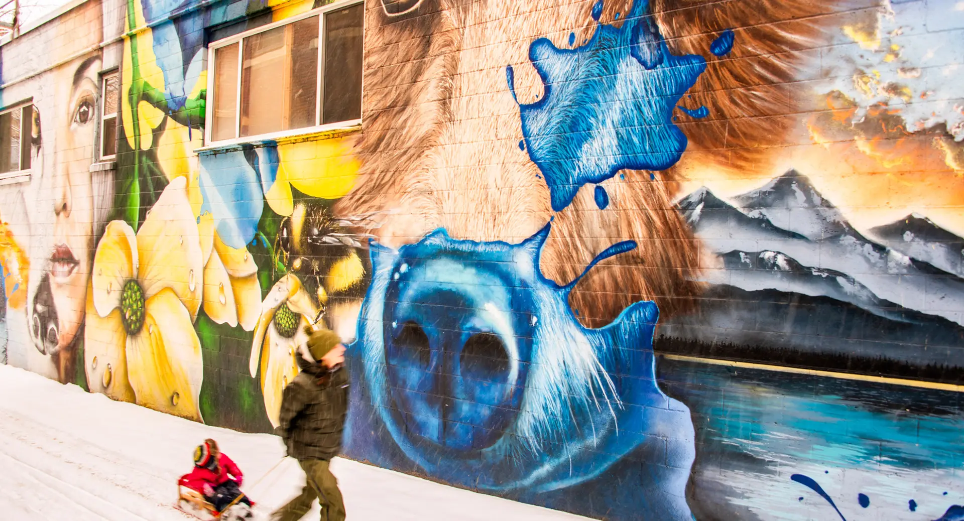 The Art Scene of Nelson
