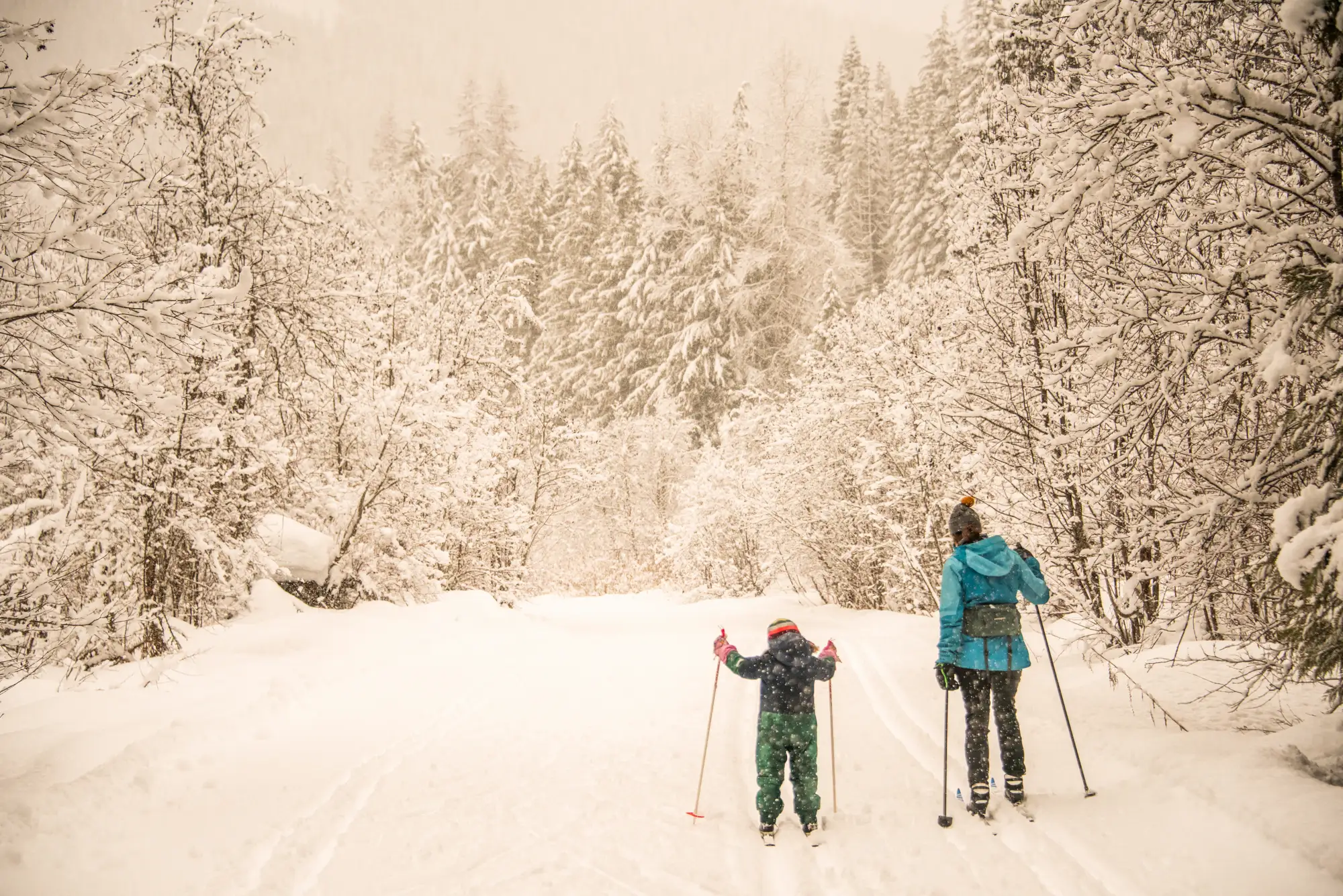 Cross Country Skiing