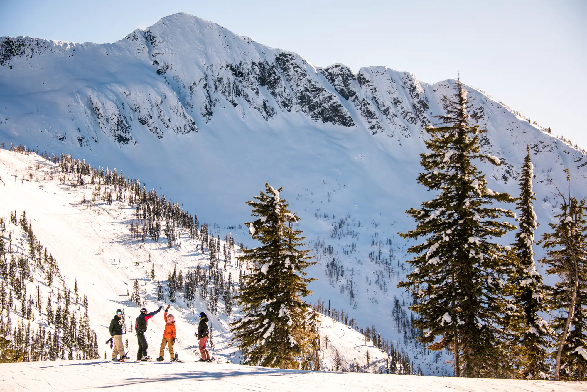 Ski Nelson