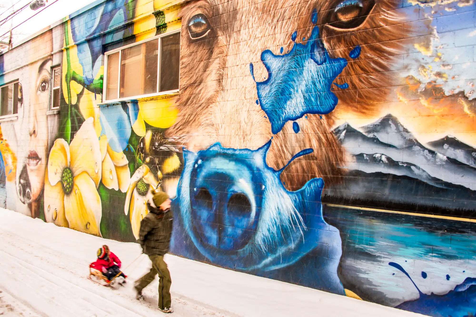 The Art Scene of Nelson