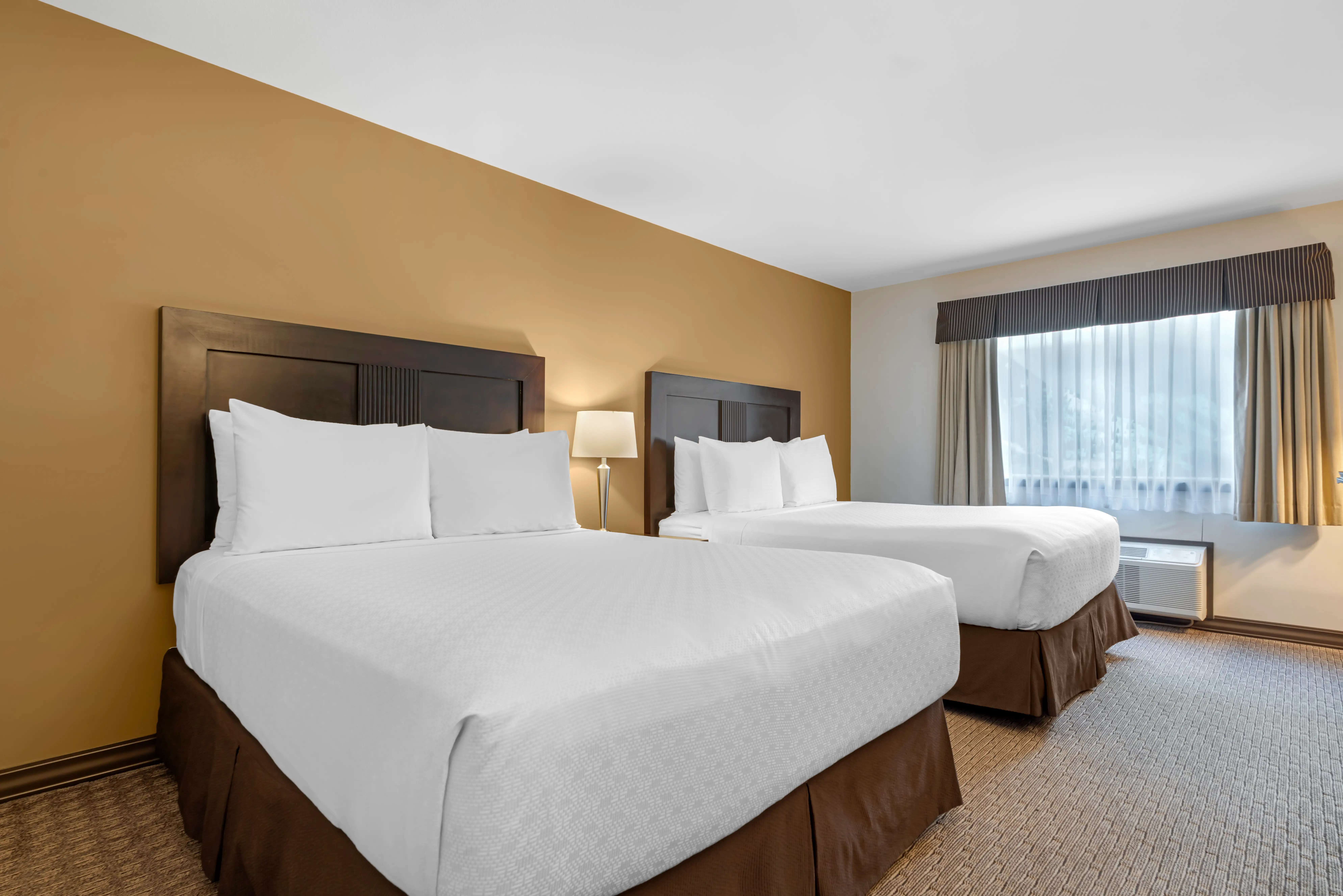 2 Queen Bed 1