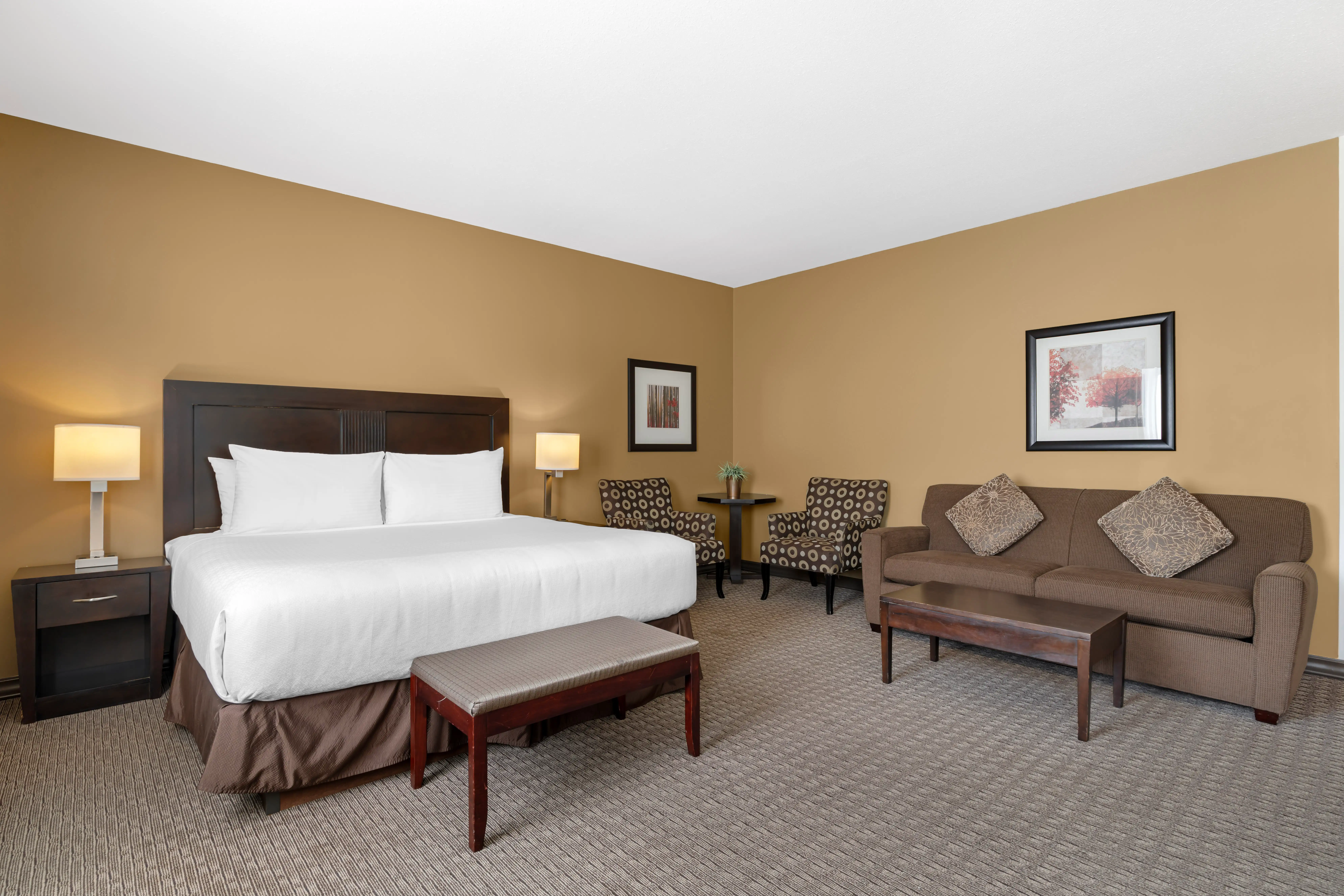 King Suite 1