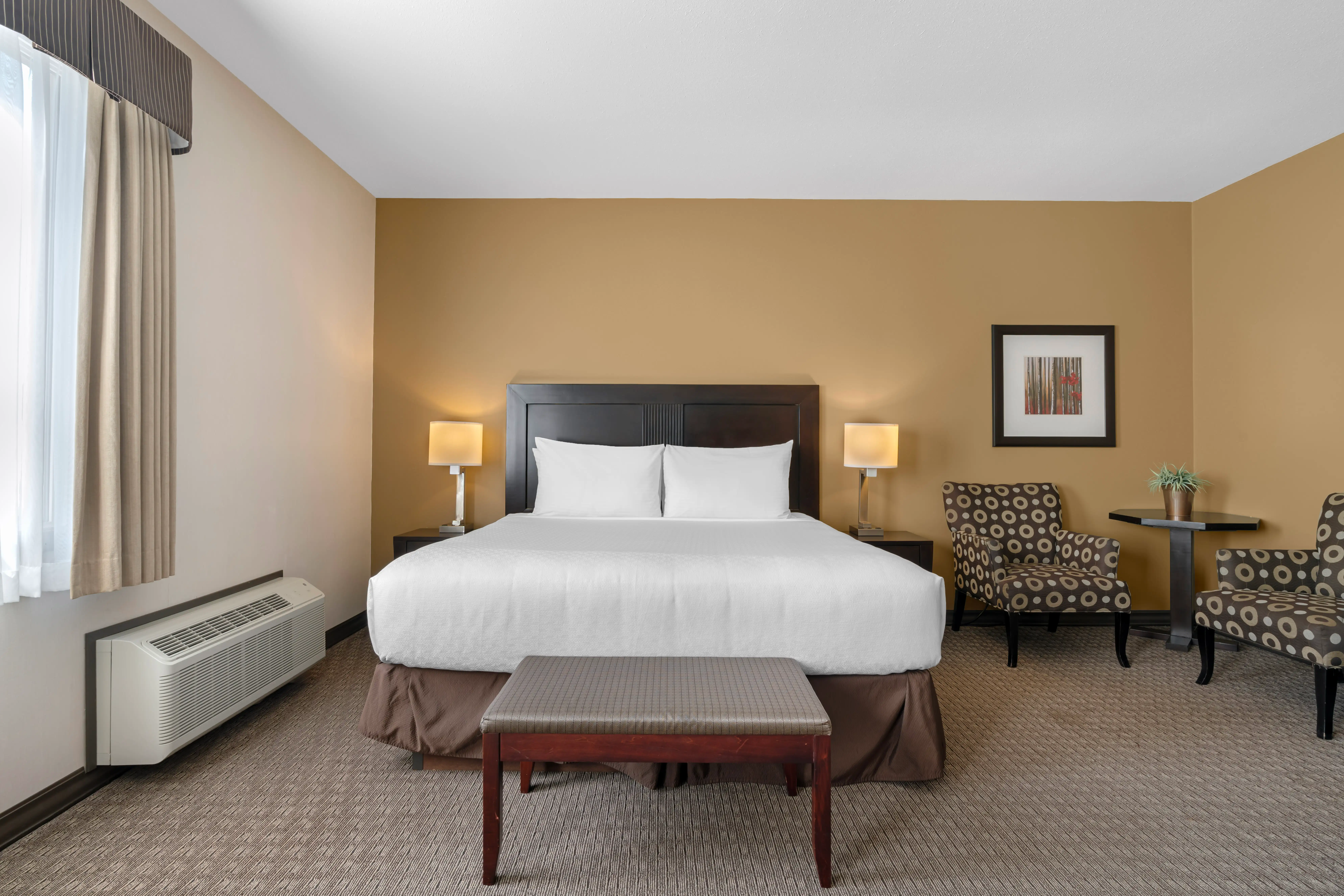 King Suite 2
