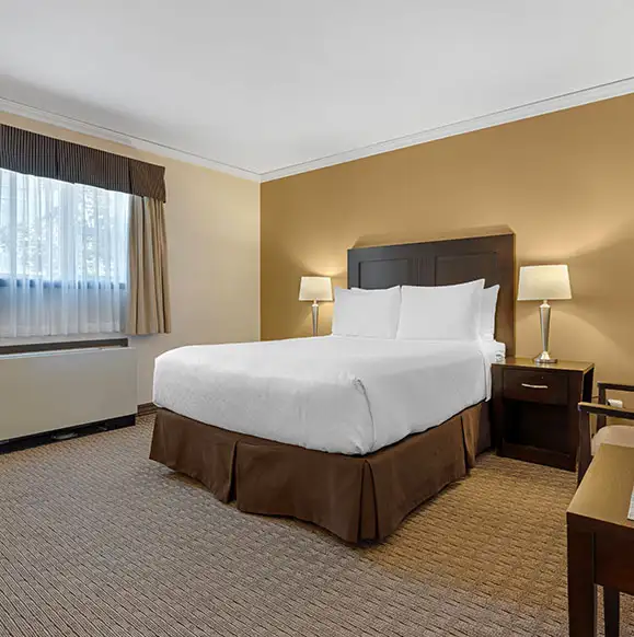1 Queen Bed 1