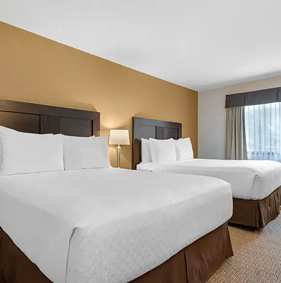 2 Queen Beds 1