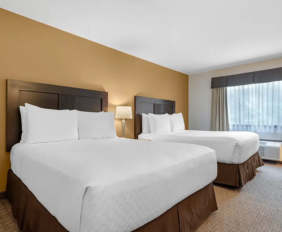 2 Queen Beds 1