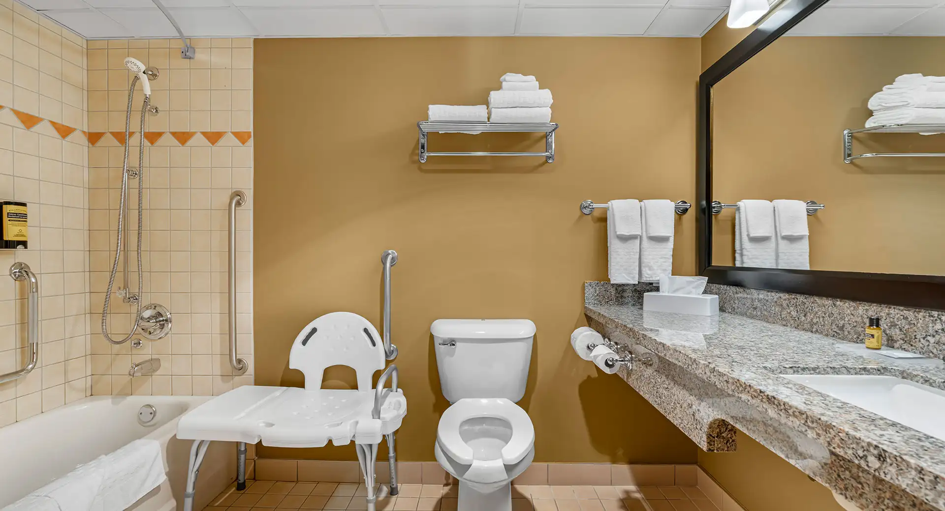 Accessible Room 2 Queen Beds 4