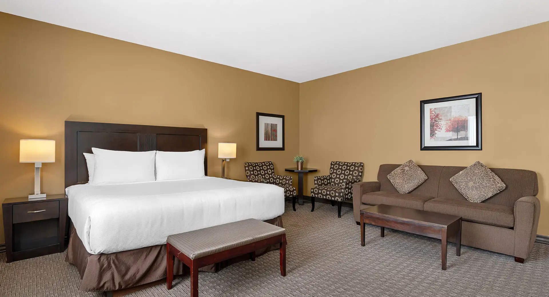 King Suite 1