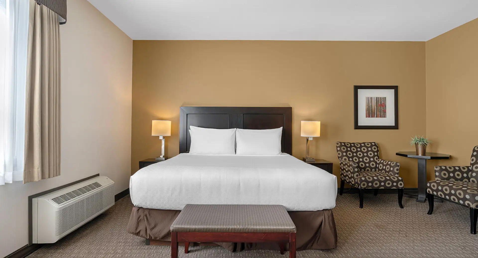 King Suite 2